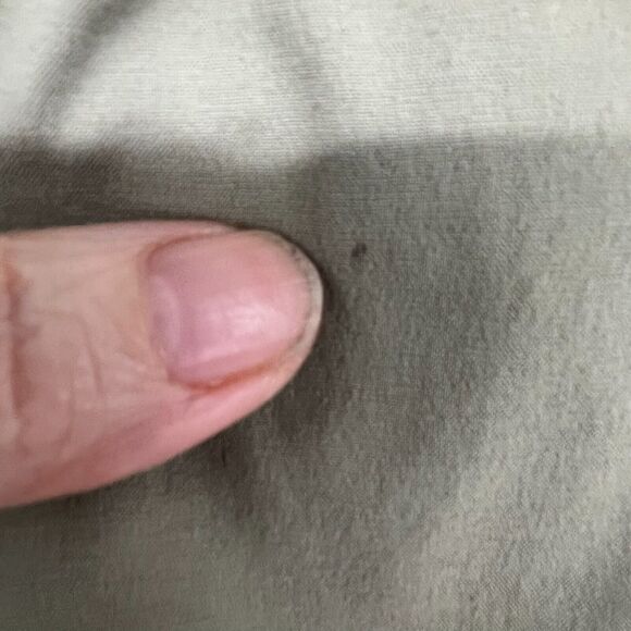 Columbia Anytime Skort Womens S Light Brown Pull On Pockets Stretch Ruched Tie - Picture 4 of 7